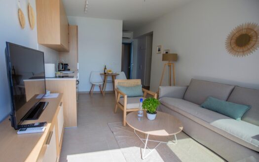 Seafront 1-Bedroom Apartment in Perigiali
