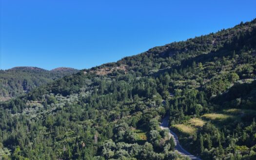 Unique 10,000 sqm Plot with Panoramic Views in Nikoli, Lefkada